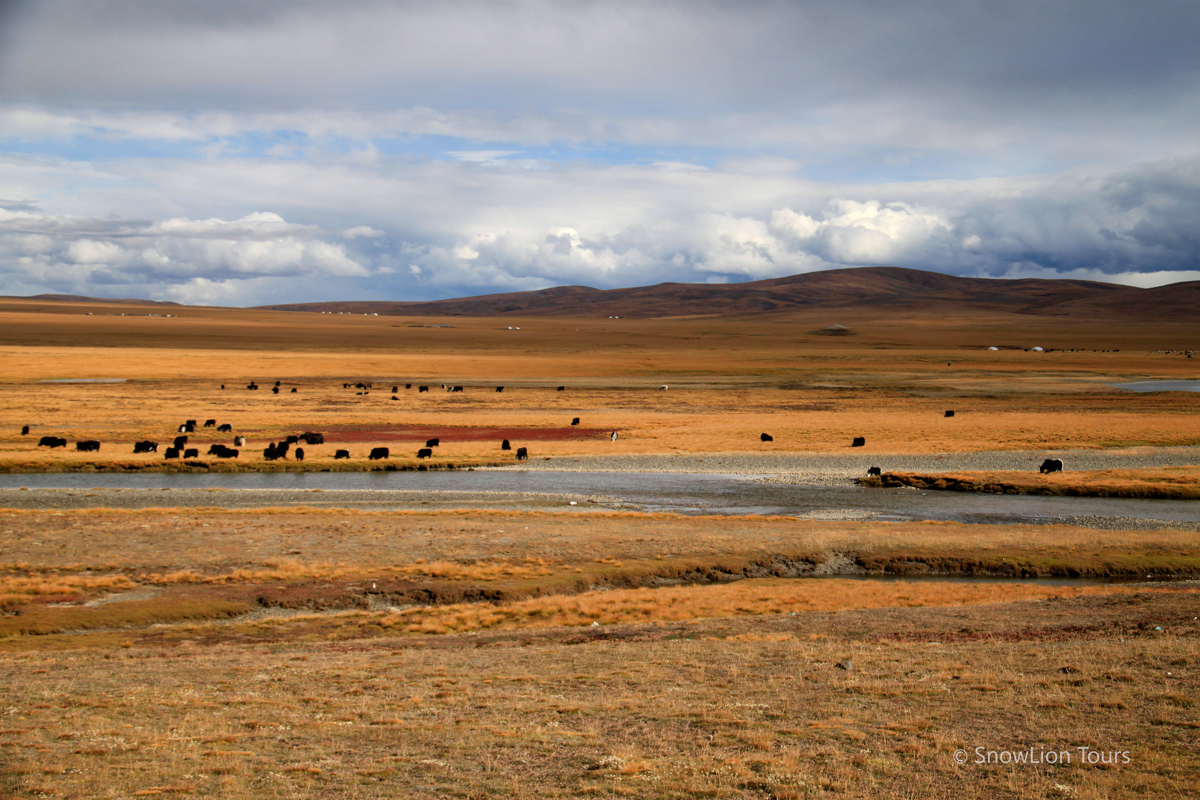 Yushu Horse Festival in Tibet