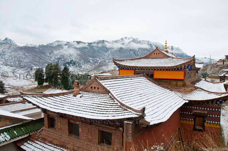 Langmusi Tour, Amdo Tibet Festival